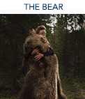 The Bear